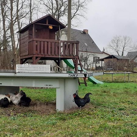 Zur Alten Jugendherberge บวร์ก ภายนอก รูปภาพ