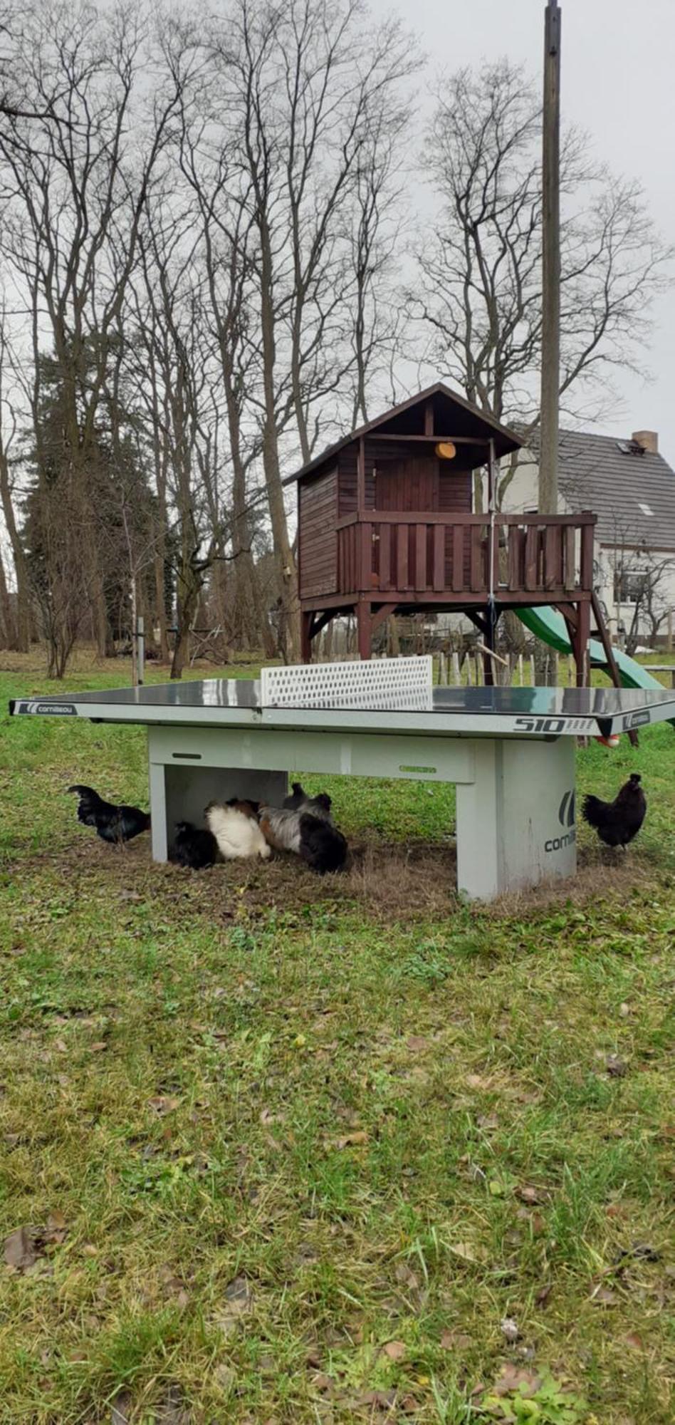 Zur Alten Jugendherberge บวร์ก ภายนอก รูปภาพ