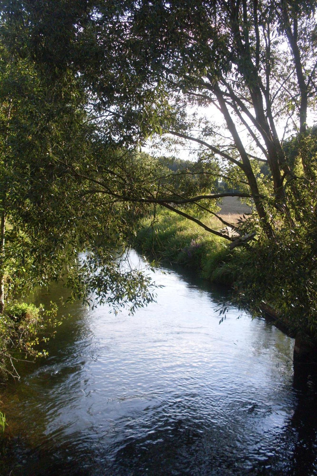 Zur Alten Jugendherberge บวร์ก ภายนอก รูปภาพ